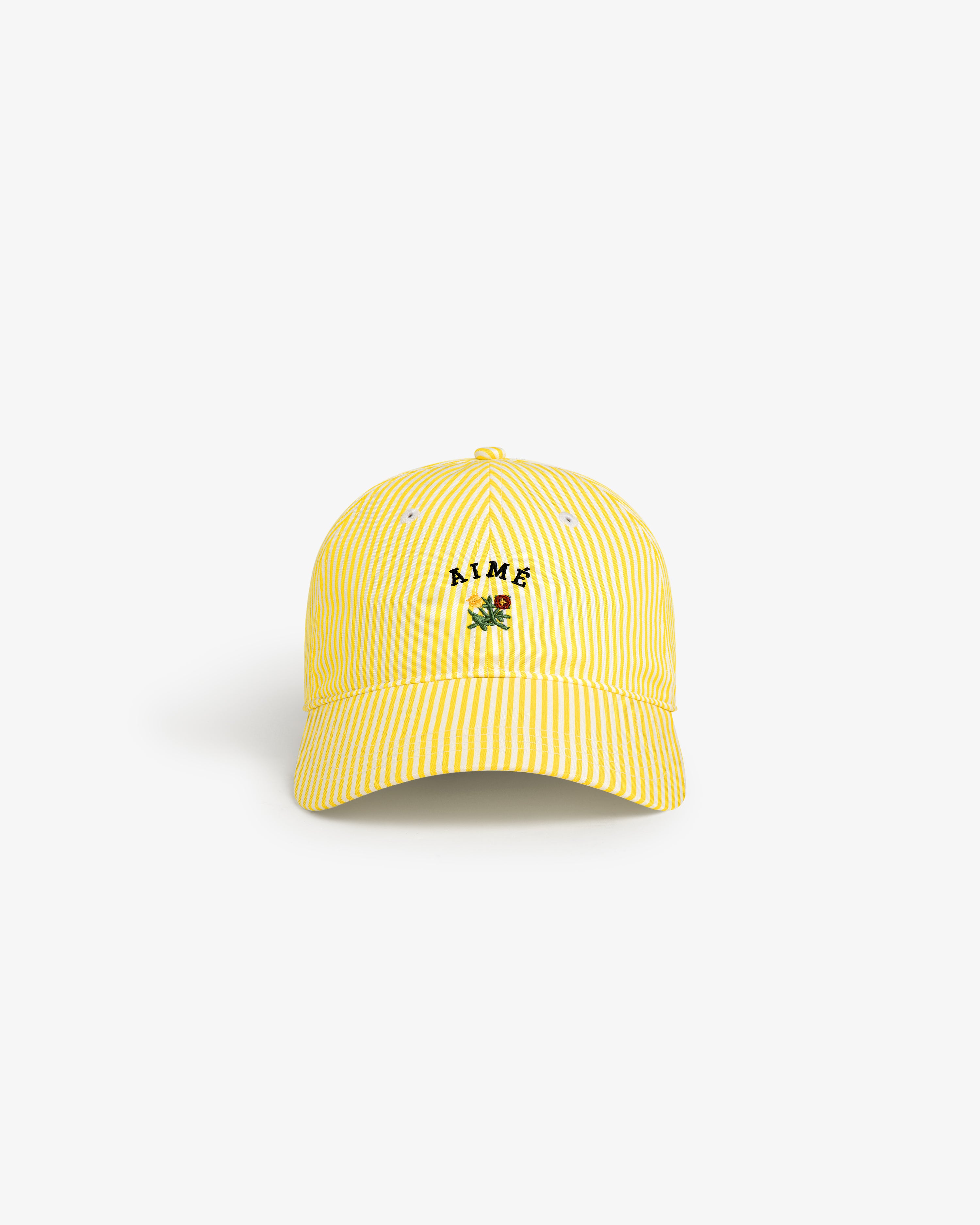 Striped Crest Logo Hat 2
