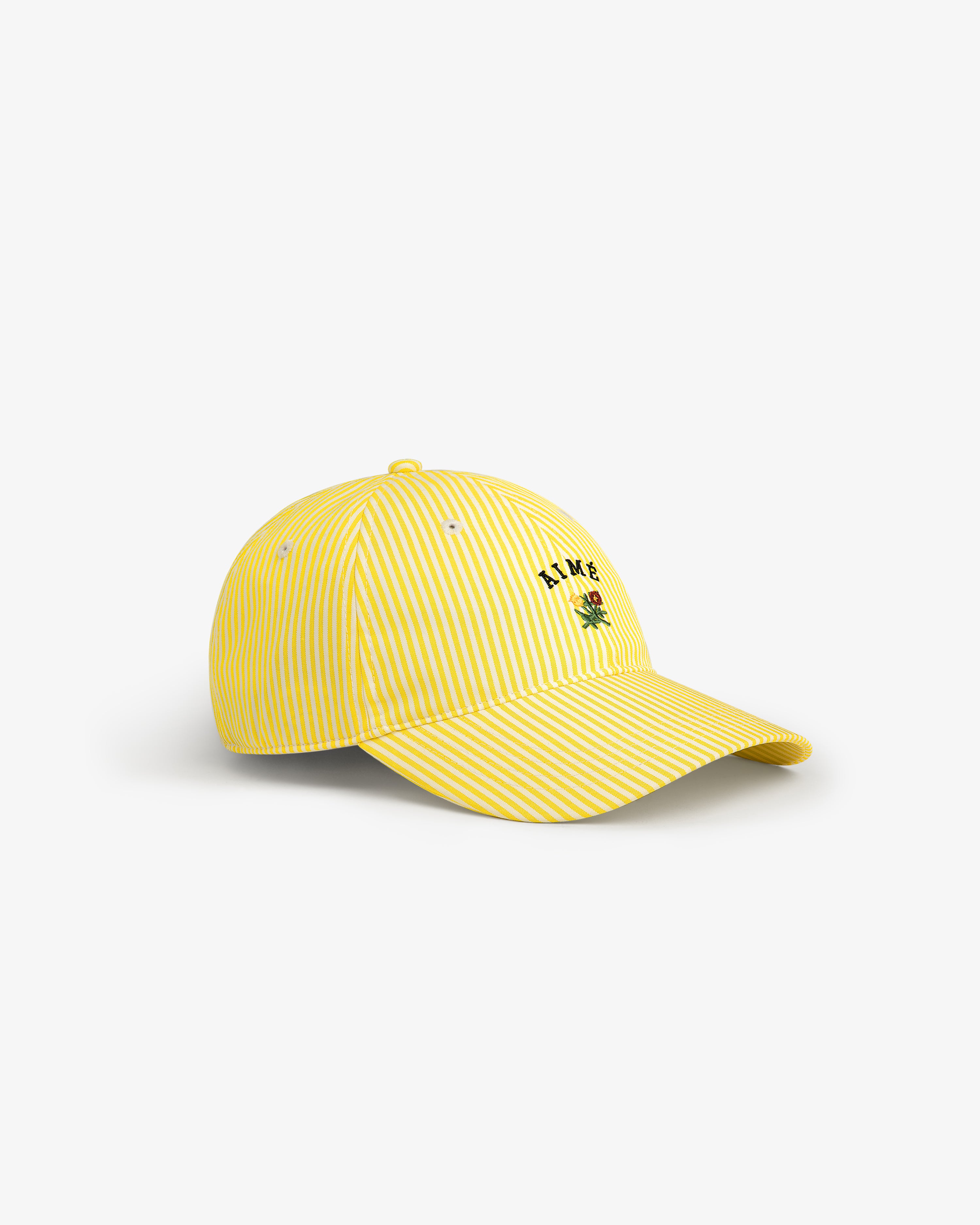 Striped Crest Logo Hat 3