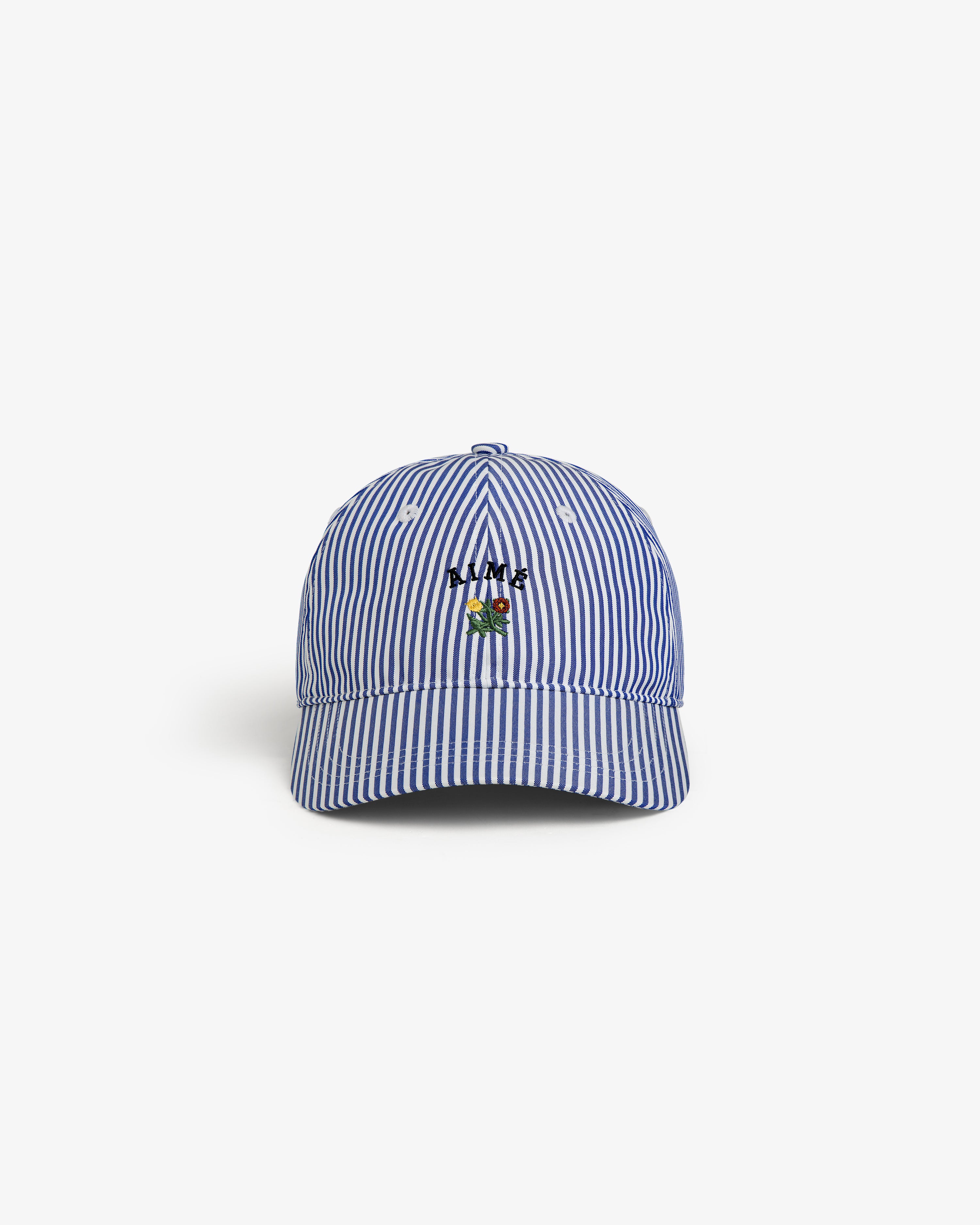 Striped Crest Logo Hat 2